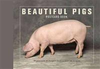 Beautiful Pigs Postcard Books