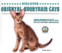 Discover Oriental Shorthair Cats