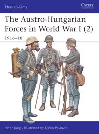 The Austro-Hungarian Forces in World War I (2) 1916-18