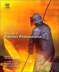Treatise on Process Metallurgy