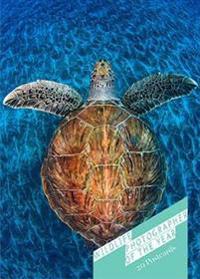 Wildlife Photographer of the Year: Book of Postcards