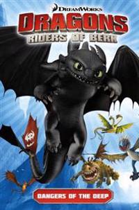 Dragons: Riders of the Berk 2