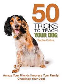 50 Tricks to Teach Your Dog