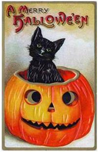Black Cat Emerging from Jack-O-Lantern Halloween Greeting Cards (6 Cards Individually Bagged W/ Envelopes and Header) [With Envelope]