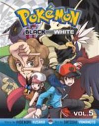 Pokemon Black & White