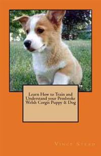 Learn How to Train and Understand Your Pembroke Welsh Corgis Puppy & Dog