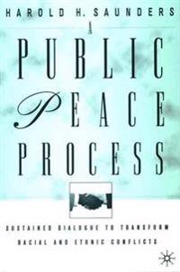 A Public Peace Process