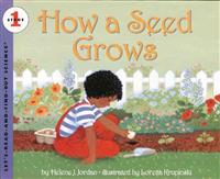 How a Seed Grows
