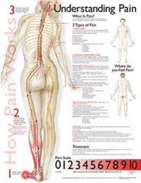 Understanding Pain Anatomical Chart