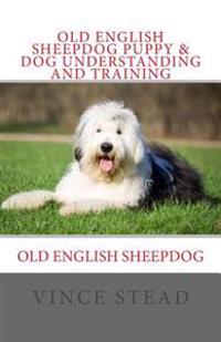 Old English Sheepdog Puppy & Dog Understanding and Training