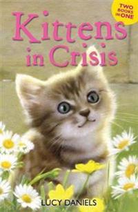 Kittens in Crisis