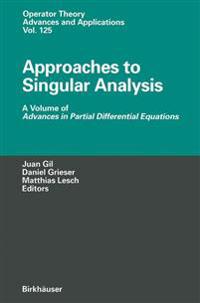 Approaches to Singular Analysis: A Volume of Advances in Partial Differential Equations