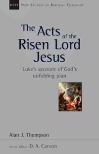 The Acts of the Risen Lord Jesus: A Biblical Theology of Incarnation