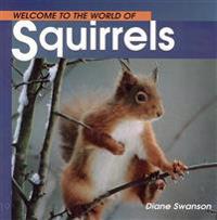Welcome to the World of Squirrels