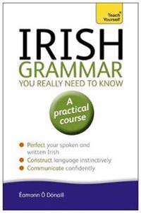 Teach Yourself Irish Grammar You Really Need to Know