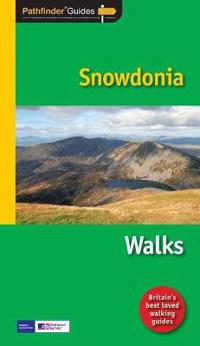 Pathfinder Snowdonia