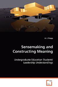 Sensemaking and Construction Meaning