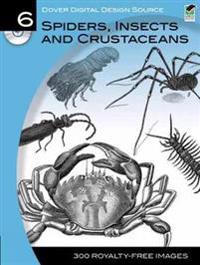 Spiders, Insects and Crustaceans