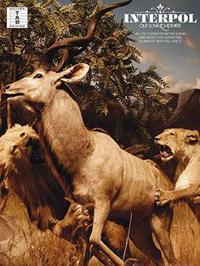 Interpol