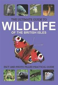 The Ultimate Guide to Wildlife of the British Isles