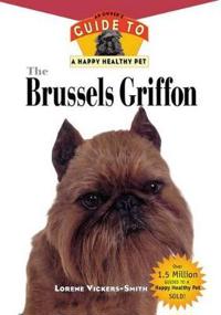 Brussells Griffon