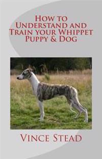 How to Understand and Train Your Whippet Puppy & Dog