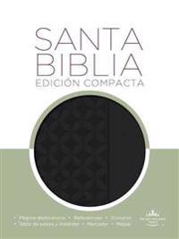 Holy Bible / Santa Biblia