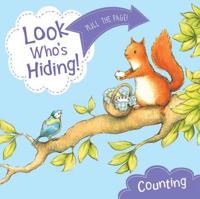 Look Who's Hiding: Counting