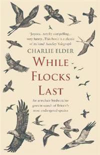 While Flocks Last