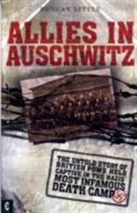 Allies in Auschwitz