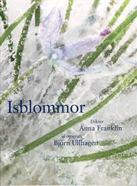 Isblommor