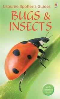 Bugs and Insects