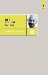 Kurze Geschichte der Baustatik und Baudynamik in der Praxis