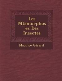 Indirect Pedagogy: Some Lessons in Existential Education