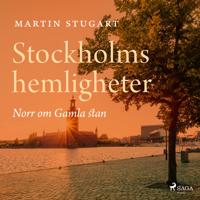 Stockholms hemligheter: Norr om Gamla stan