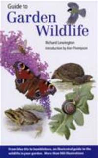 Guide to Garden Wildlife
