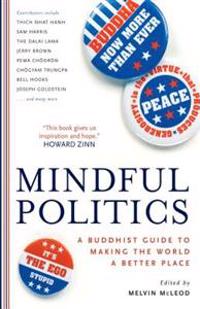 Mindful Politics