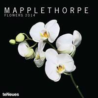 2014 Robert Mapplethorpe Flowers Calendar
