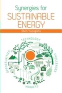 Synergies for Sustainable Energy