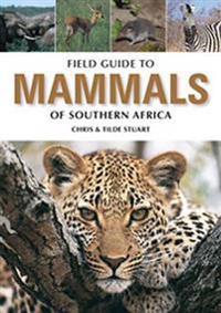 Field Guide to Mammals of Southern Africa