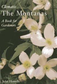 Everyone's Clematis - The Montanas
