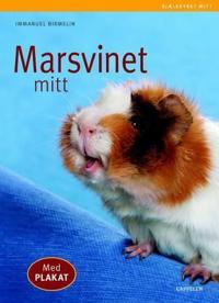 Marsvinet mitt