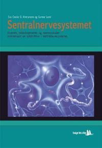 Sentralnervesystemet; anatomi, bildediagnostikk og nevrovaskulær intervensjon av sykdommer i sentralnervesystemet