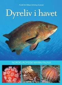 Dyreliv i havet; nordeuropeisk marin fauna
