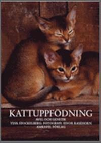 Kattuppfödning : avel och genetik