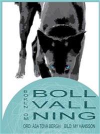 Boken om bollvallning