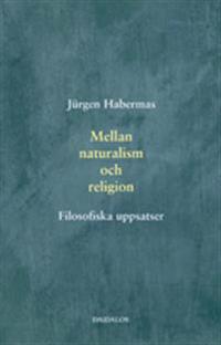 Mellan naturalism och religion : filosofiska uppsatser