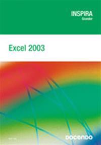 Excel 2003 Grunder
