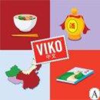 VIKO KINESISKA