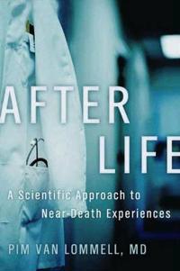 Consciousness Beyond Life